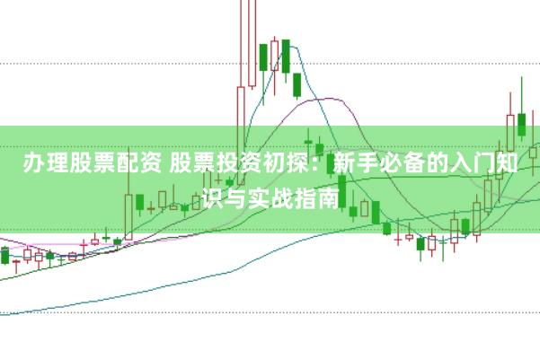 办理股票配资 股票投资初探：新手必备的入门知识与实战指南