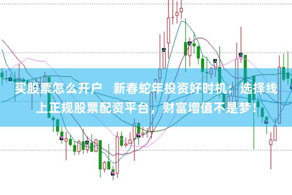 买股票怎么开户   新春蛇年投资好时机：选择线上正规股票配资平台，财富增值不是梦！
