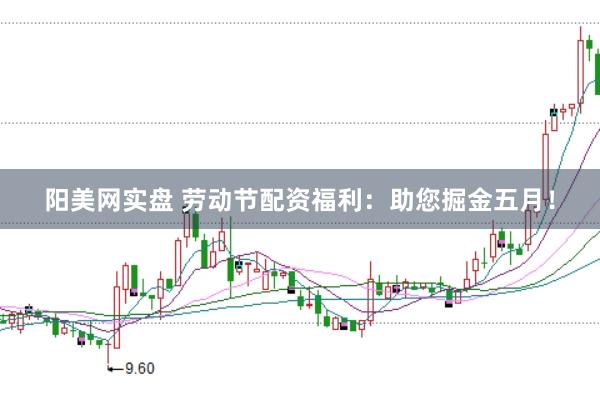 阳美网实盘 劳动节配资福利：助您掘金五月！