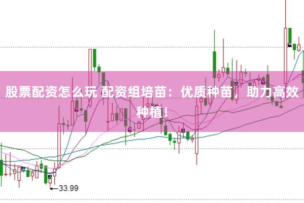 股票配资怎么玩 配资组培苗：优质种苗，助力高效种植！