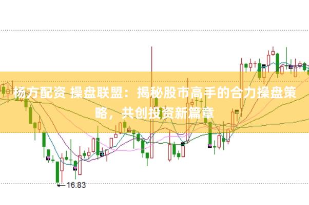 杨方配资 操盘联盟：揭秘股市高手的合力操盘策略，共创投资新篇章