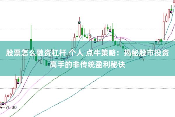 股票怎么融资杠杆 个人 点牛策略：揭秘股市投资高手的非传统盈利秘诀