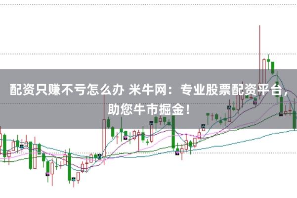 配资只赚不亏怎么办 米牛网：专业股票配资平台，助您牛市掘金！