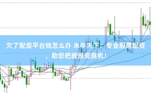 欠了配资平台钱怎么办 米牛天下：专业股票配资，助您把握投资良机！