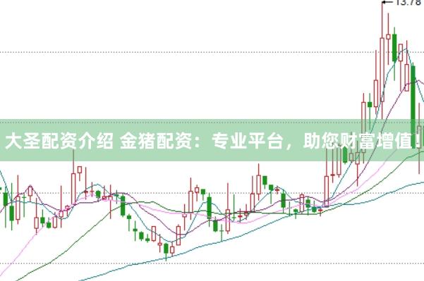 大圣配资介绍 金猪配资：专业平台，助您财富增值！