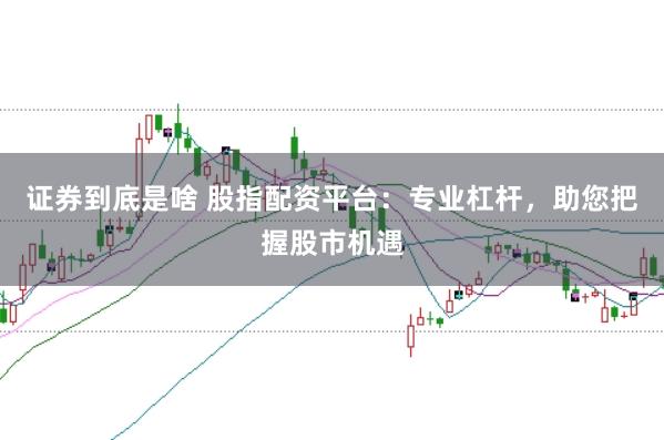 证券到底是啥 股指配资平台：专业杠杆，助您把握股市机遇