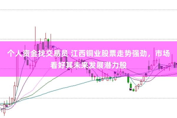 个人资金找交易员 江西铜业股票走势强劲，市场看好其未来发展潜力股