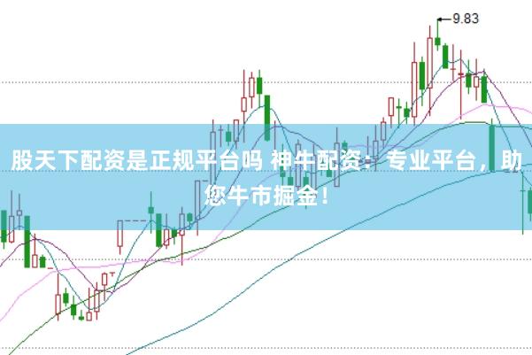 股天下配资是正规平台吗 神牛配资：专业平台，助您牛市掘金！