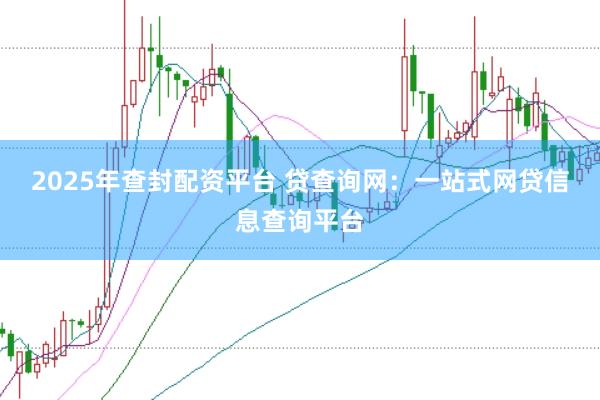 2025年查封配资平台 贷查询网：一站式网贷信息查询平台