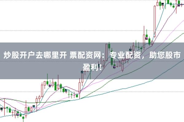 炒股开户去哪里开 票配资网：专业配资，助您股市盈利！