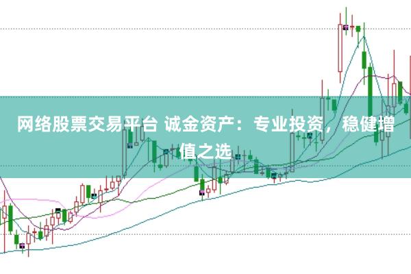 网络股票交易平台 诚金资产：专业投资，稳健增值之选