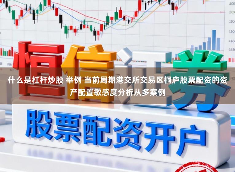什么是杠杆炒股 举例 当前周期港交所交易区桐庐股票配资的资产配置敏感度分析从多案例