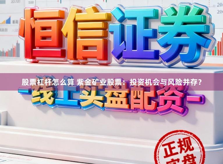 股票杠杆怎么算 紫金矿业股票：投资机会与风险并存？